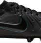 Бутси унісекс Nike Legend 10 Pro Fg Black DV4333-002