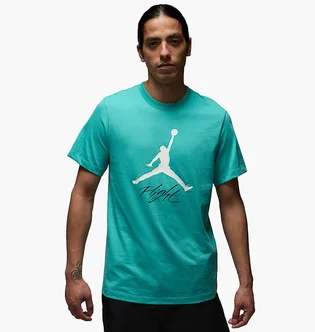 Футболка мужская Air Jordan Jumpman Flight Hbr Tee Turquoise AO0664-392