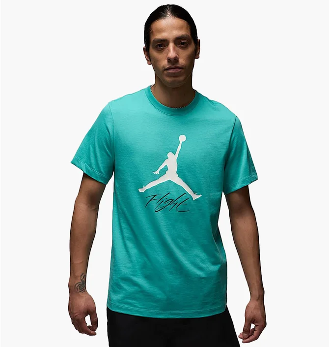 Футболка чоловіча Air Jordan Jumpman Flight Hbr Tee Turquoise AO0664-392