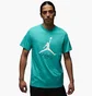 Футболка чоловіча Air Jordan Jumpman Flight Hbr Tee Turquoise AO0664-392