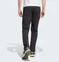 Штаны мужские Adidas Terrex Xperior Pants Black IQ1401