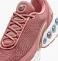 Кроссовки женские Nike Air Max Dn Pink FJ3145-600