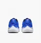 Кроссовки мужские Nike Flex Experience Run 11 Blue DD9284-402