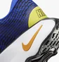 Кросівки чоловічі Nike Motiva Blue DV1237-400