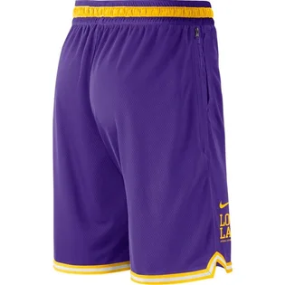 Шорти чоловічі Nike Los Angeles Lakers Violet DB1801-504