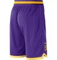 Шорти чоловічі Nike Los Angeles Lakers Violet DB1801-504
