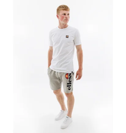 Шорты мужские Ellesse Bossini Fleece Short Grey SHS08748-106