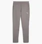 Штаны мужские Puma Evostripe Pants Grey 684614-79