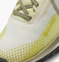 Кроссовки женские Nike Pegasus Trail 4 Gore-Tex Waterproof Trail Running Shoes Beige DJ7929-101