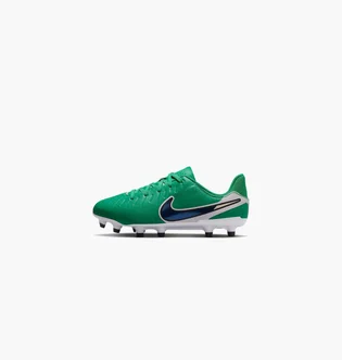 Бутсы детские Nike Legend 10 Academy Fg/Mg Lv8 Green HJ7190-300