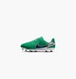 Бутсы детские Nike Legend 10 Academy Fg/Mg Lv8 Green HJ7190-300