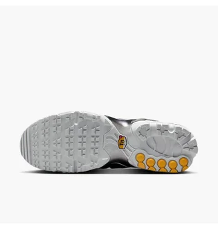 Кроссовки мужские Nike Air Max Plus П Black FZ4150-001