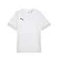 Футболка чоловіча Puma Teamgoal Matchday Shirt White 705747-04