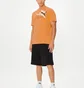 Футболка мужская Puma Ess+ Logo Orange 678988-46