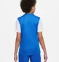 Футболка детская Nike Y Nk Df Tiempo Prem Ii Jsy Ss Blue Dh8389-463