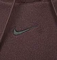 Худі жіноче Nike Sportswear Plush Brown Dq6840-652