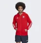 Толстовка мужская Adidas Fc Bayern Dna Full-Zip Hoodie Red Hf1356