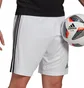 Шорти чоловічі Adidas Shorts Squad 21 Sho White GN5773
