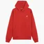 Худи мужское Air Jordan Essentials Fleece Hoodie Red FJ7774-687