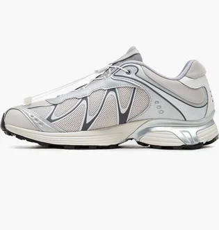 Кроссовки мужские Salomon Xt-Whisper Beige/Grey L47801400