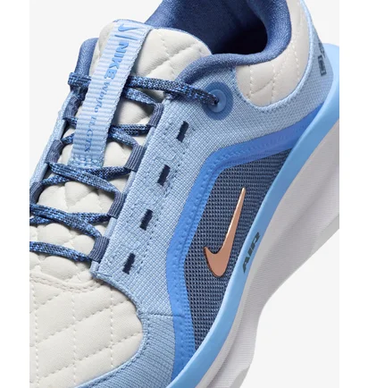 Кросівки жіночі Nike Winflo 11 Gore Tex Blue/Beige FQ1359-002