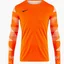 Кофта мужская Nike Dry Park Iv Orange Cj6066-819