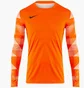 Кофта мужская Nike Dry Park Iv Orange Cj6066-819