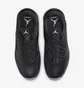 Кроссовки мужские Air Jordan Point Lane Black CZ4166-003
