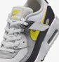 Кроссовки детские Nike Air Max 90 Grey IQ0096-100