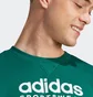 Свитшот мужской Adidas Sportswear All Szn Graphic Sweatshirt Green IJ9440