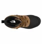 Ботинки мужские The North Face Chilkat V Lace Wp Beige/Black NF0A5LW3YW2
