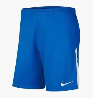 Шорты мужские Nike M Nk Df Lge Knit Ii Short Nb Blue Bv6852-463