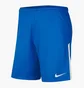 Шорты мужские Nike M Nk Df Lge Knit Ii Short Nb Blue Bv6852-463