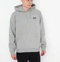 Худі чоловіче Dickies Oakport Hoodie Grey DK0A4XCDGYM