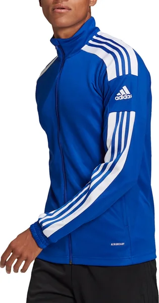 Куртка мужская Adidas Sq21 Tr Jkt Blue Gp6463