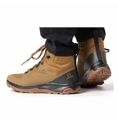 Ботинки мужские Salomon Outblast Ts Cswp Brown 473825