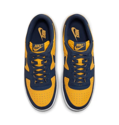 Кросівки чоловічі NIKE Terminator Low Og Blue/Yellow FJ4206-700