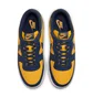 Кросівки чоловічі NIKE Terminator Low Og Blue/Yellow FJ4206-700