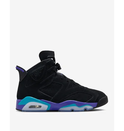 Кроссовки мужские Air Jordan 6 Retro Black CT8529-004