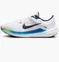 Кроссовки мужские Nike Winflo 10 Road Running Shoes White DV4022-103