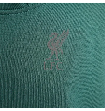 Худі чоловіче Nike Liverpool F.C. Tech Pack Green FQ7787-361