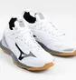 Кроссовки мужские Mizuno Wave Mirage 2.1 White/Grey X1GA1850-09