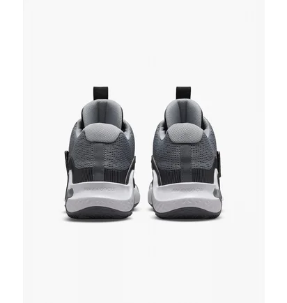 Кросівки унісекс Nike Kd Trey 5 X Grey Dd9538-008