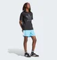Шорты мужские Adidas Adicolor Classics Sprinter Shorts Light Blue IM9434