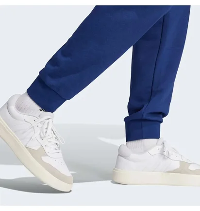 Штани чоловічі Adidas Essentials Big Logo French Terry Blue JE8967
