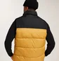 Жилетка мужская Jack & Jones Etoby Bodywarmer Collar Yellow/Black 12235861