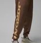 Штаны мужские Air Jordan M Mvp Hbr Flc Brown FV7229-223