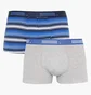 Трусы мужские Puma Worldhood Stripe Trunk Blue/Grey (2 шт) 501004001-010