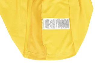 Футболка мужская Nike Dri-Fit Academy 24 Yellow DR1336-719