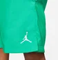 Шорты мужские Air Jordan M J Jumpman Poolside Short Green CZ4751-372